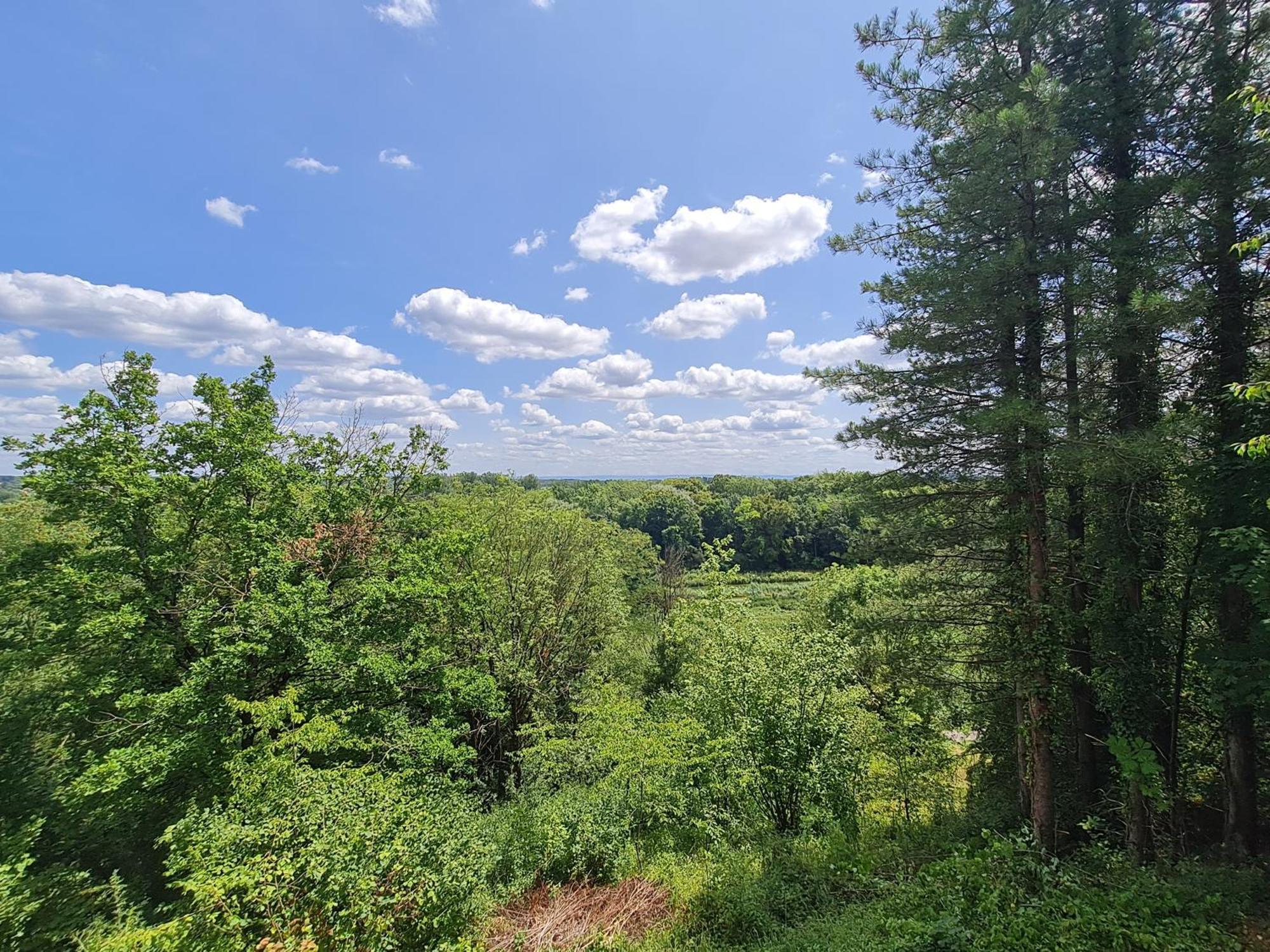 Du Domaine Des Fees Dole